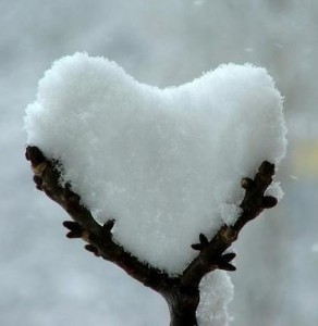 neve cuore